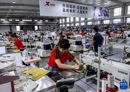 新華全媒 | 從家庭作坊到現代化工廠，從鄉鎮企業到國際知名企業——探訪福建晉江民營企業的管理密碼